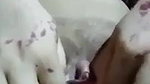 moti ladki ne choot mein ungli kri