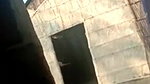 dehati bhabhi showing nudes on video call to devar