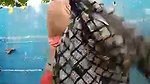 nude bhabhi wearing dress