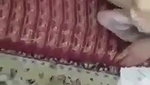 guy recording friend fucking bhabhi