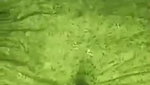 bf pressing boob