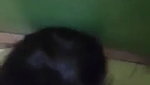 blowjob to bf