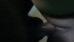 shaved pussy gf fucked