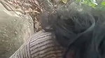bj by gf in forest
