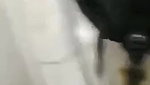 bj and sex in toilet