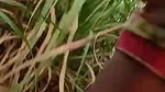 khet mein ladki ke sath chudai