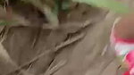 khet mein ladki ke sath chudai