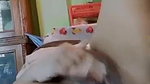 Bigboob Bengali Horny Girl Fingering And Playing With Her Bigboobs