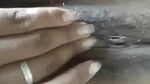 Assame Cute Gf Showing And Fingering