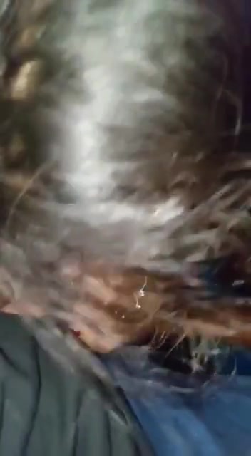 Frame 10