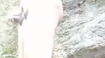 jungle mein gf ke sath chudai