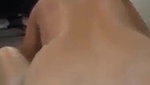 riding in reverse cowgirl position after bj