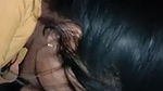 Village girl first time blowjob MMS video
