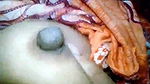 Bangladeshi Village Bhabi Pissing Video New Clip Update