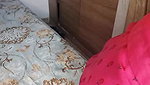 Stripchat Desi seductress