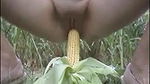 pussy fucking with corn outdoor