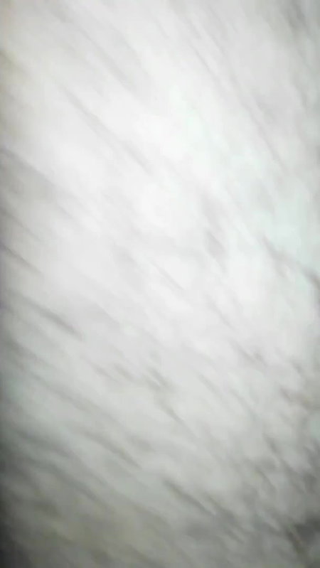 Sexy bitch riding dick of her BF MMS video
