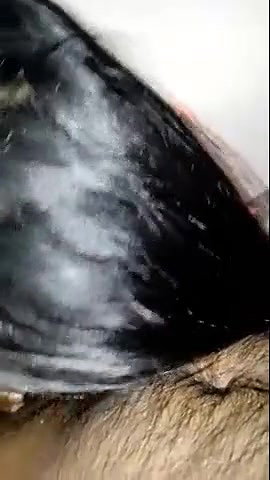 Sexy SriLankan girl blowjob video