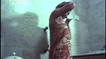 Mallu Actress Bath