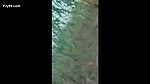 Pathani Girl Fucking in Khet Total 3 Videos