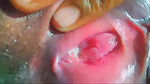 pink pussy young girl masturbation with carrot