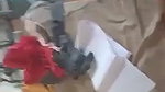 college sex video recorded secretly