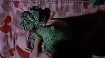 Married Bhabi Fucking Affair With Neighbour Young Boy