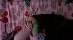 Married Bhabi Fucking Affair With Neighbour Young Boy