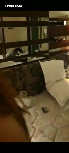 In hotel,exposed clear talking