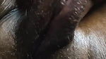 black chubby pussy rub