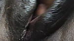 black chubby pussy rub
