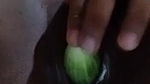 cucumber inside pussy wife