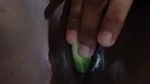 cucumber inside pussy wife