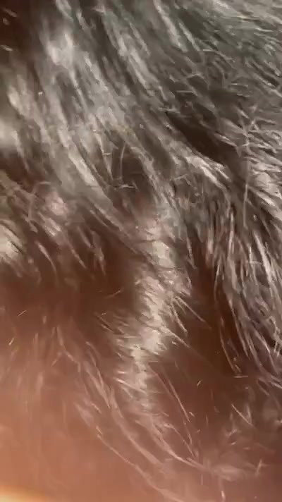 cute girl cock suck to boyfriend