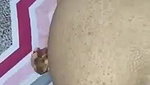 badi chuche wali bhabhi ko ghodi banake choda