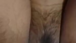 tight pussy gf fucked