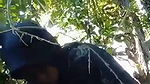 hijabi big boob young girl riding in jungle