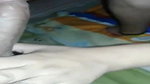 shaved pussy bhbahi fucked after bj