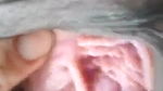 Indian pink pussy hole show Indian MMS
