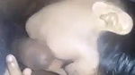 Amateur Indian dick sucking MMS video
