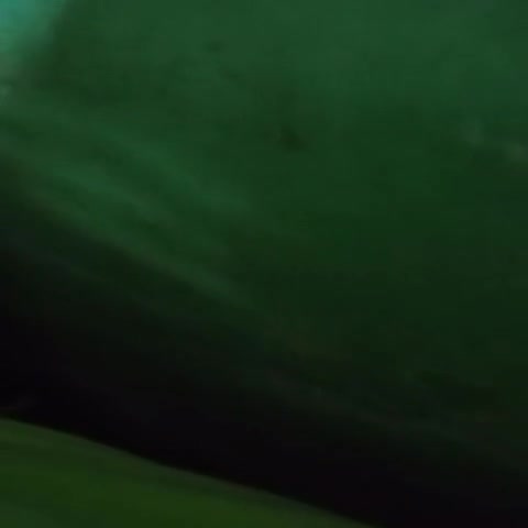 Frame 10