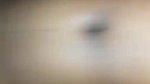 shaved tight pussy girl fucked