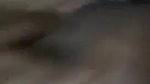 bahbhi pussy rubbing