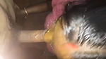 Tamil blowjob wife sucking her husbands