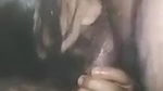 Sexy Bhabhi blowjob sex MMS video