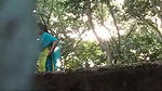 couples fuck in outdoor secretly recording