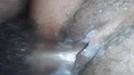 Desi village bhabi wet pussy