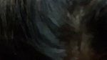 Extremely Beautiful Chubby Bengali GF Enjoying with BF in Hotel Clear Talking