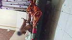 Desi Girl friend fucked her home