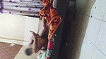 Desi Girl friend fucked her home